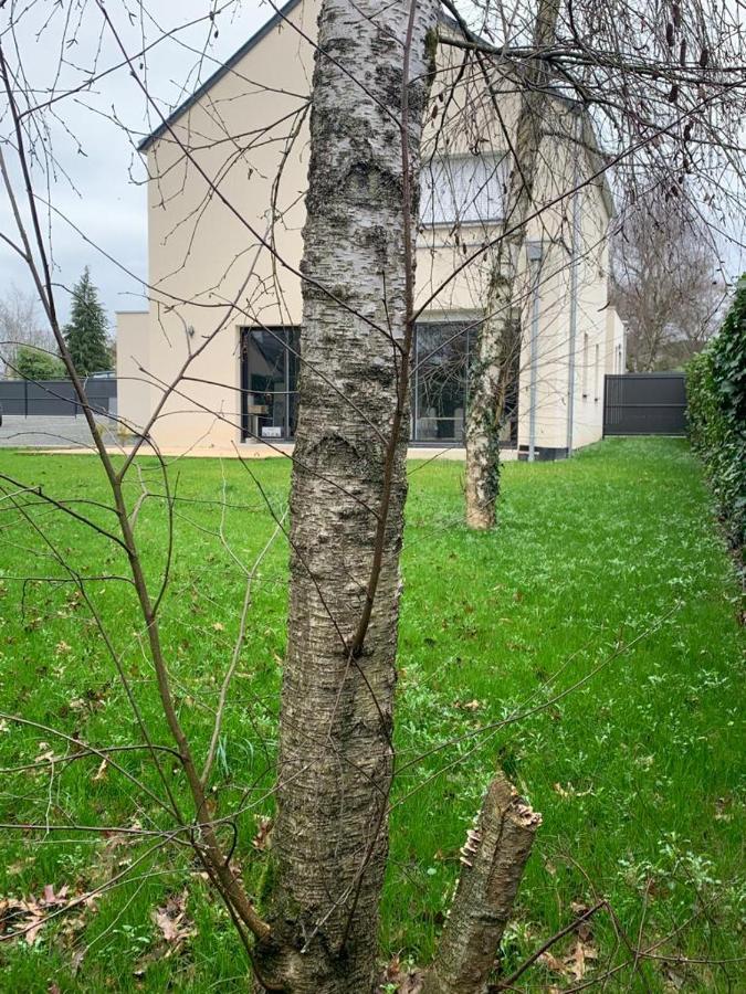 Maison De Charme Avec Jardin,Pace,Proche De Rennes エクステリア 写真